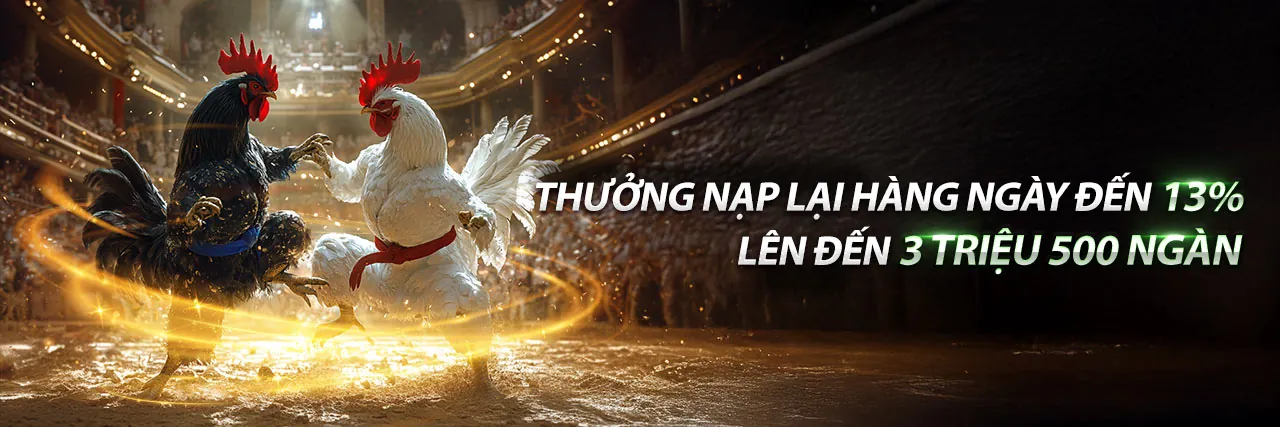 Đá Gà Trực Tuyến Hấp Dẫn tại kc6 Trang Chủ